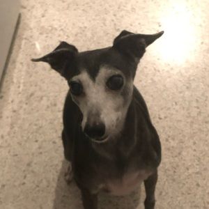 Meet your Posher, Sheila